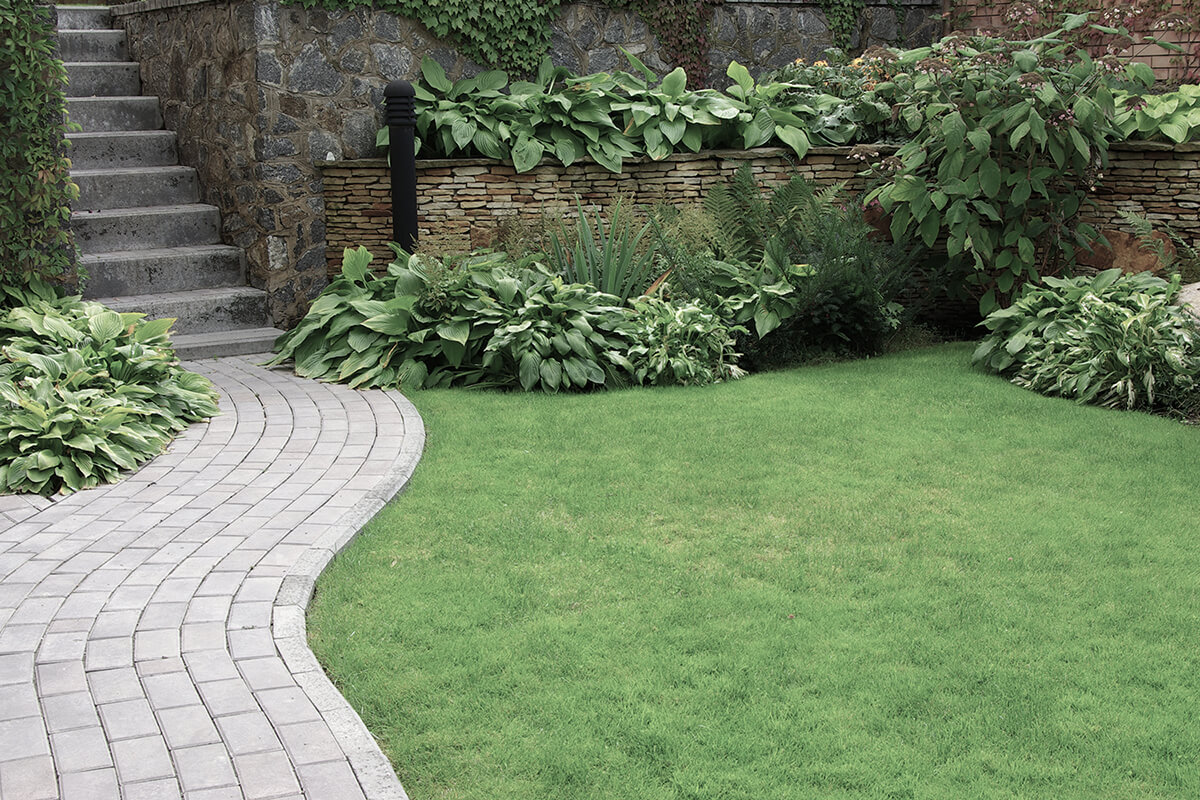 Welcome to Home Care Landscaping