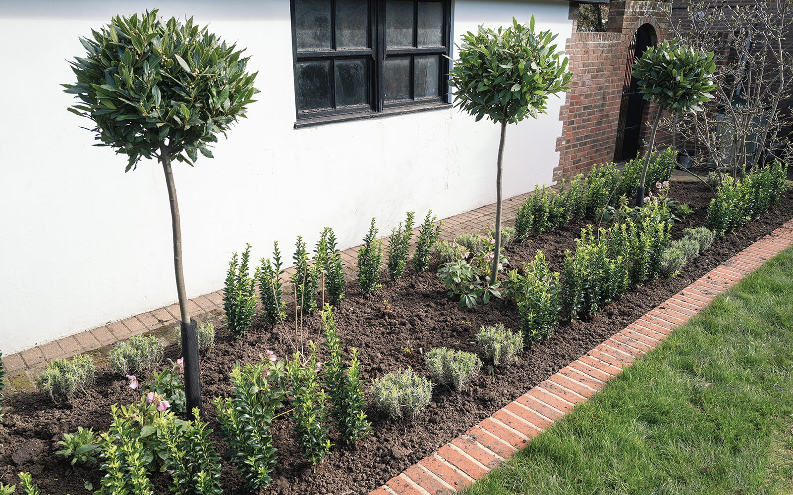 Home Care Landscaping Work